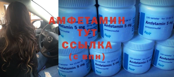 шишки Лагань