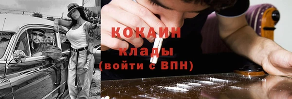 шишки Лагань