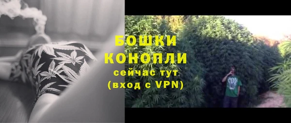 шишки Лагань