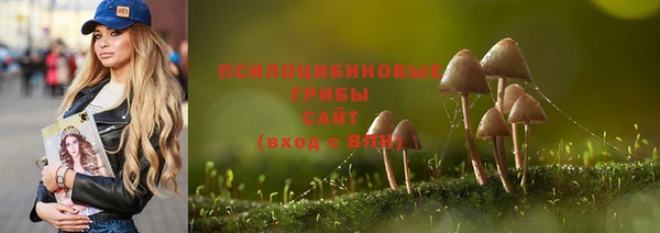 наркотики Ладушкин