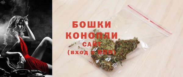 шишки Лагань