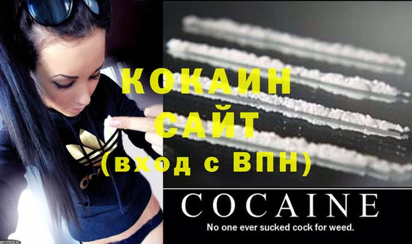 шишки Лагань