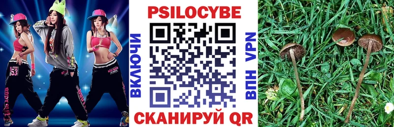 Галлюциногенные грибы Psilocybine cubensis  Купить где  Асбест 